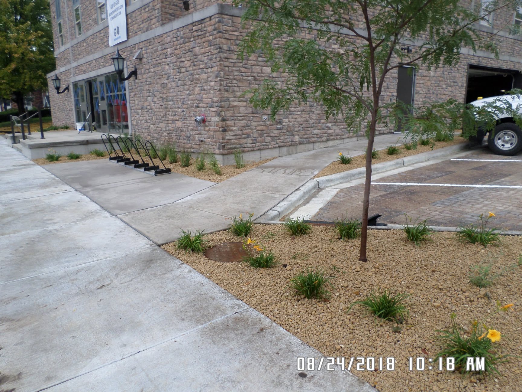 Ornamental grasses and trees in commercial planting beds — Zone 5a plants for southwest Wisconsin